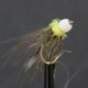 Nymphs Pure white hot head glister collar bug yellow thorax nymph $2.34