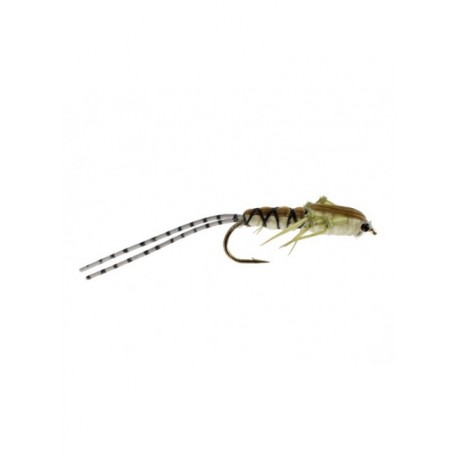 Nymphs Pure t. stonefly $2.34