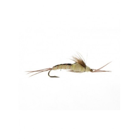 Nymphs Pure little yellow stonefly epoxy $2.34