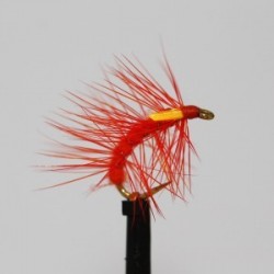 Nymphs Pure orange hot snatcher $2.34