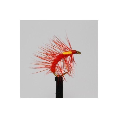 Nymphs Pure orange hot snatcher $2.34