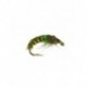 Nymphs Pure czechmate olive $2.34