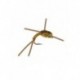 Nymphs Pure beadhead golden wire stonefly $2.34