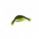 Nymphs Pure scud flashback olive $2.34