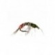 Nymphs Pure shrimp $2.34