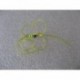 Nymphs Pure fl yellow crazy rainbow b w $2.34
