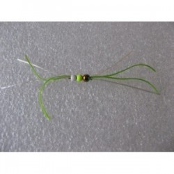 Nymphs Pure white green crazy rainbow b w $2.34
