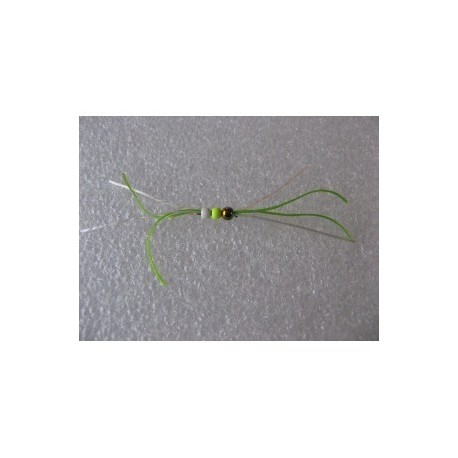 Nymphs Pure white green crazy rainbow b w $2.34