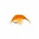 Nymphs Pure scud flashback orange $2.34