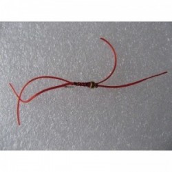 Nymphs Pure gold head holo red bw $2.34