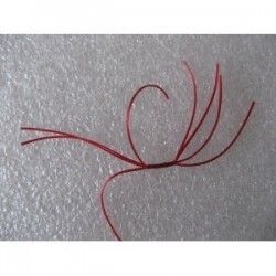 Nymphs Pure blood red crazy apps b w $2.34