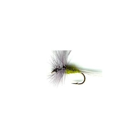 Dries bwo button $2.34