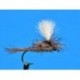 Dries Parachute Hares Ear $2.34