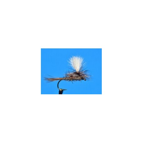 Dries Parachute Hares Ear $2.34