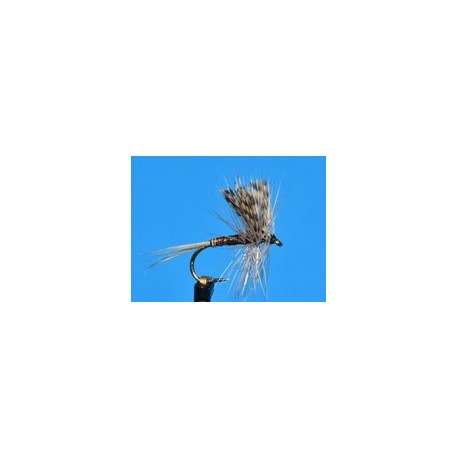 Dries Quill Gordon $2.34