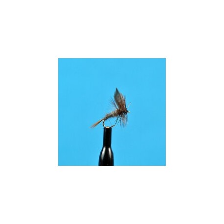 Dries Little Maryatt $2.34