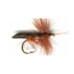 Dries dark brown hornded caddis button $2.34