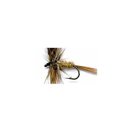 Dries march brown buton $2.34