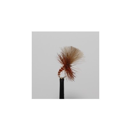Dries fiery brown grunter $2.34