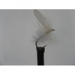 Dries white moth dry $2.34