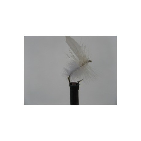 Dries white moth dry $2.34