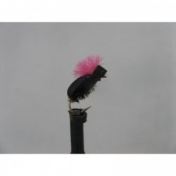 Dries pink proctor foam beetle $2.34