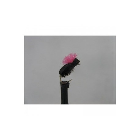 Dries pink proctor foam beetle $2.34