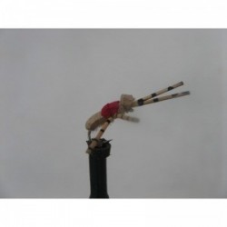 Dries tan rubberlegs foam beetle $2.34