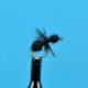 Dries Black Ant $2.34