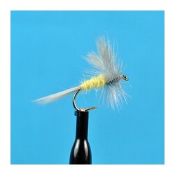 Dries Pale Morning Dun $2.34