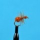 Dries Brown Ant $2.34