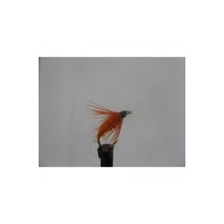 Dries carrot fly dry $2.34