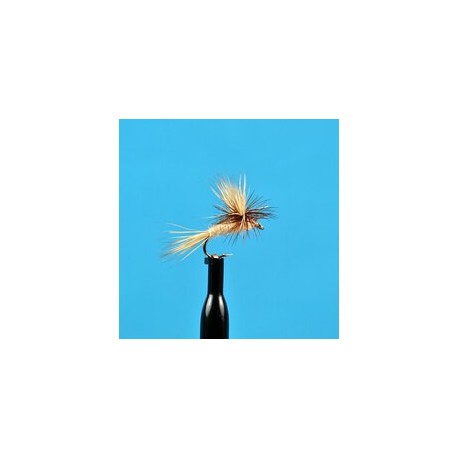 Dries Water Walker $2.34