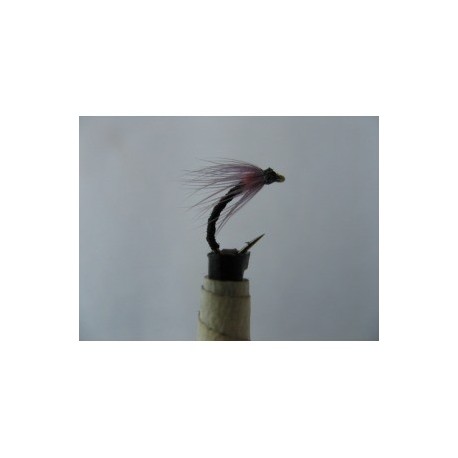 Dries annorexic orange spider $2.34