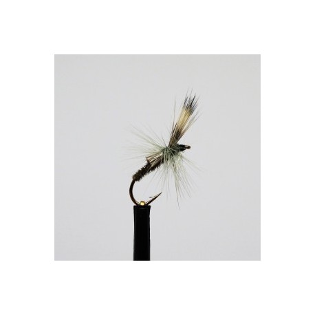 Dries ians straggler $2.34
