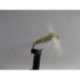 Dries spinner hares ear dry $2.34