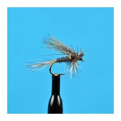 Dries Ugly Duckling Adams $2.34