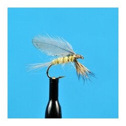 Dries Burnt Wing PMD $2.34