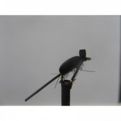 Dries black corixa foam $2.34