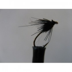 Dries ians guthrie s beetle $2.34