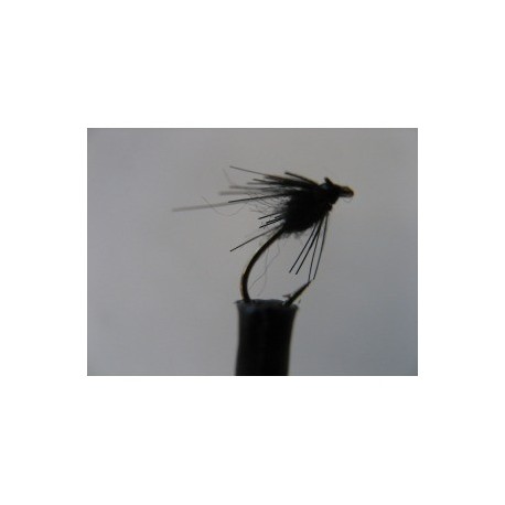 Dries ians guthrie s beetle $2.34