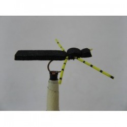 Dries blackyellow foam beetle $2.34