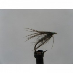 Dries arachnid spider $2.34