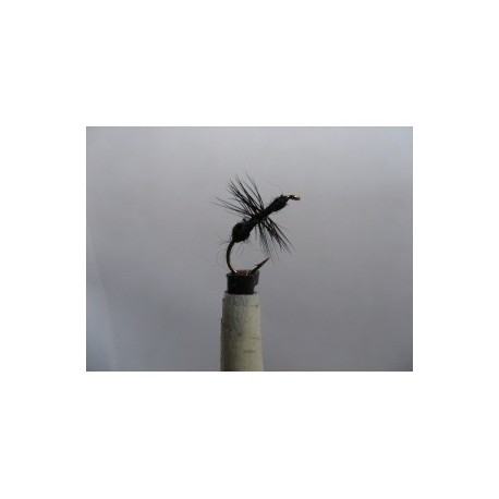 Dries black ant knotted dry $2.34