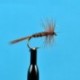 Dries Pheasant Tail Dry $2.34