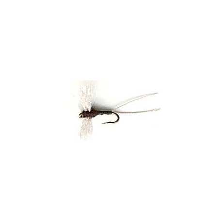 Dries trico button $2.34