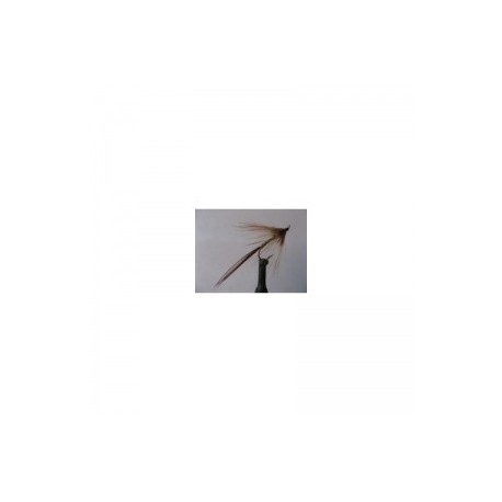 Dries ginger mayfly $2.34