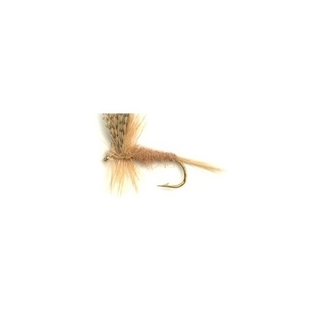 Dries light hendrickson button $2.34