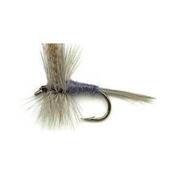 Dries dark hendrickson button $2.34