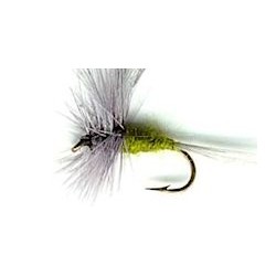Dries bwo button $2.34